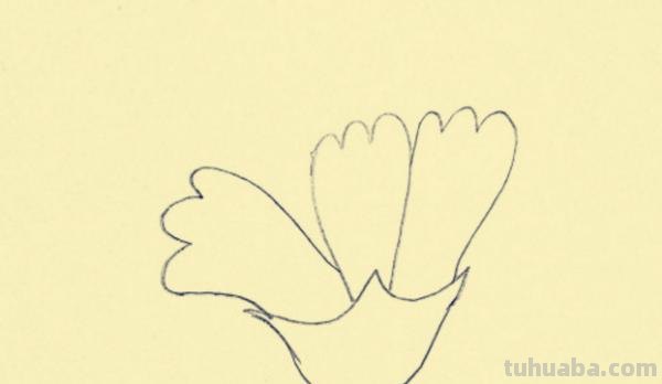 康乃馨怎么画简笔画() 康乃馨怎么画简笔画()