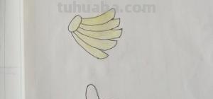 香蕉怎么画简笔画图片(香蕉怎么画简笔画图片大全大图) 香蕉怎么画简笔画图片(香蕉怎么画简笔画图片大全大图)