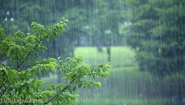 岩户铃芽的日语