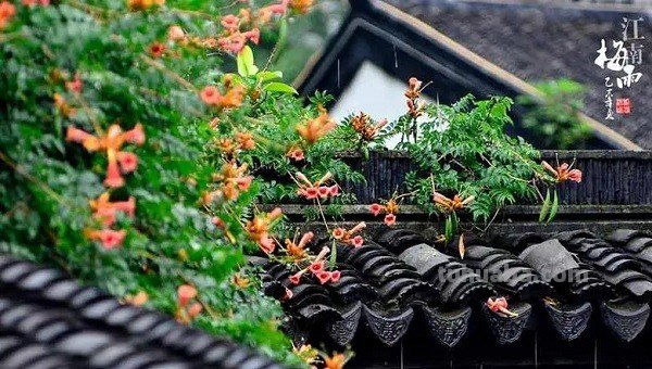 岩户铃芽的日语