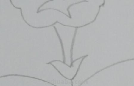 简笔画牵牛花怎么画(简笔画牵牛花怎么画好看) 简笔画牵牛花怎么画(简笔画牵牛花怎么画好看)