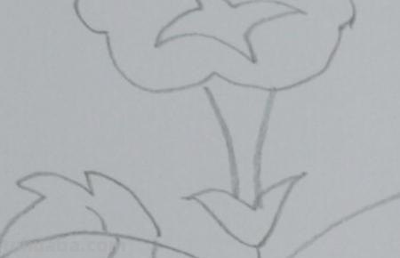 简笔画牵牛花怎么画(简笔画牵牛花怎么画好看) 简笔画牵牛花怎么画(简笔画牵牛花怎么画好看)