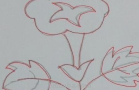 简笔画牵牛花怎么画(简笔画牵牛花怎么画好看) 简笔画牵牛花怎么画(简笔画牵牛花怎么画好看)