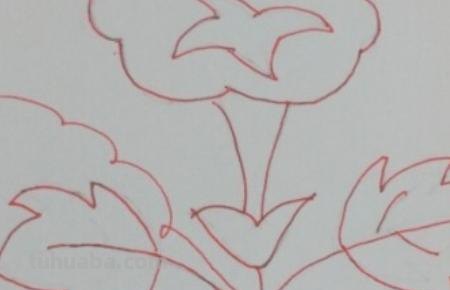 简笔画牵牛花怎么画(简笔画牵牛花怎么画好看) 简笔画牵牛花怎么画(简笔画牵牛花怎么画好看)