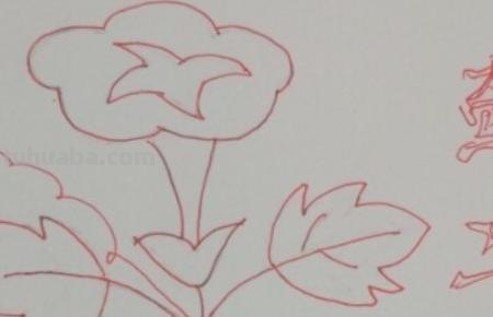 简笔画牵牛花怎么画(简笔画牵牛花怎么画好看) 简笔画牵牛花怎么画(简笔画牵牛花怎么画好看)