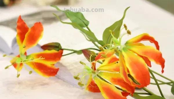 花艺小课堂：50种鲜切花花语