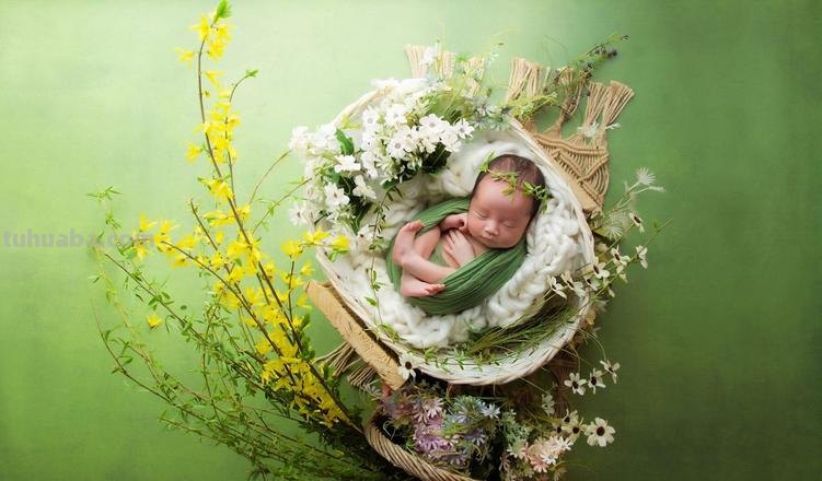 7个月的早产儿存活率有多大?如何护理早产儿呢?