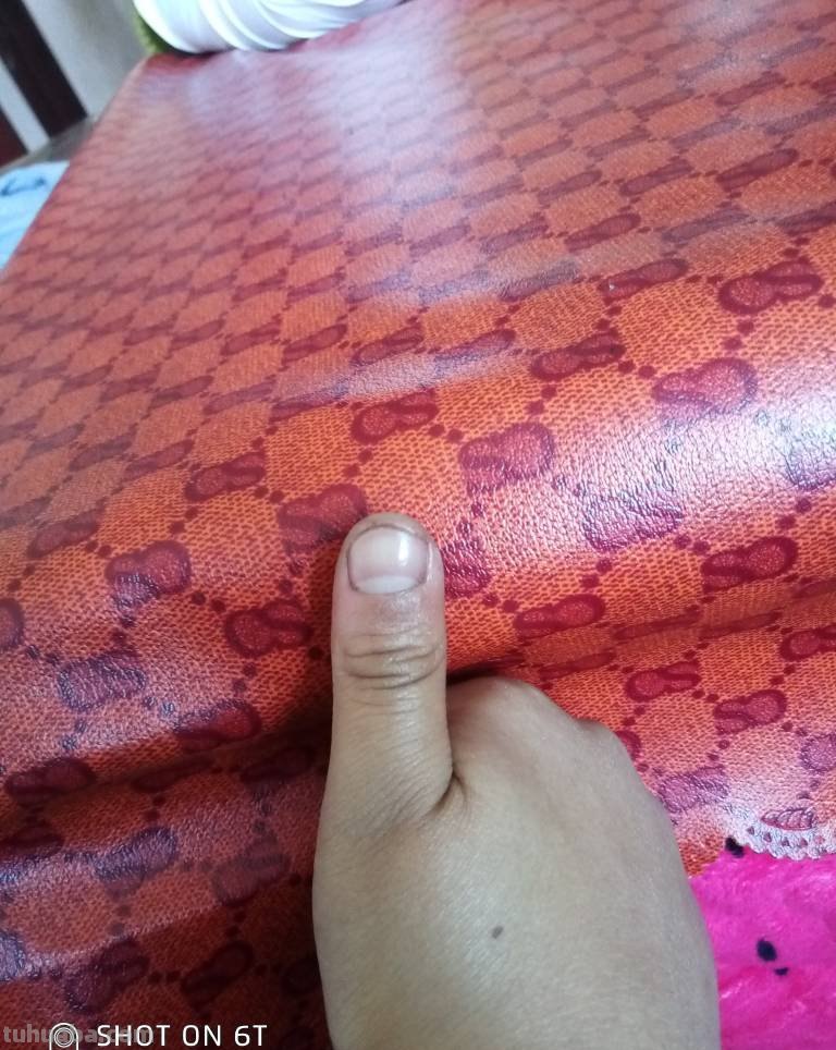 自行车neco是什么意思（neco自行车是什么品牌）