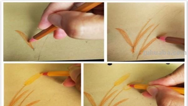 麦穗怎么画 彩铅（麦穗怎么画彩铅）