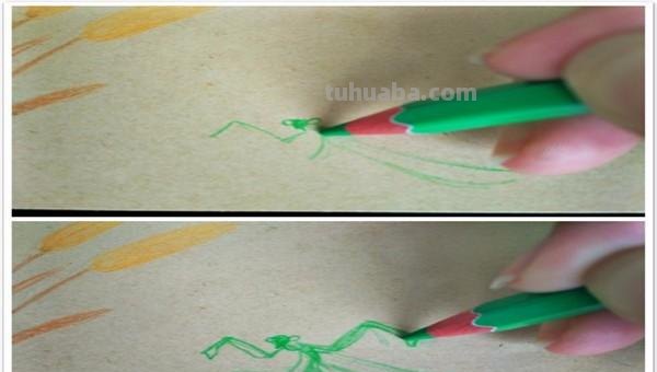麦穗怎么画 彩铅（麦穗怎么画彩铅）
