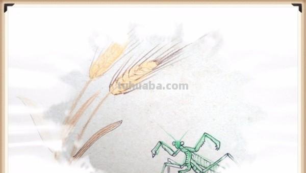 麦穗怎么画 彩铅（麦穗怎么画彩铅）