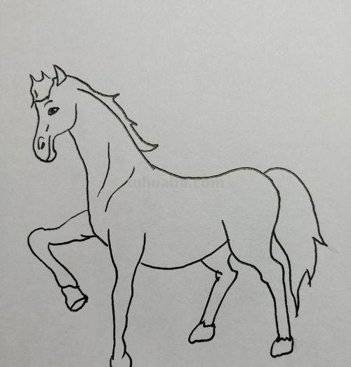 白龙马怎么画简笔画(白龙马怎么画简笔画 儿童) 白龙马怎么画简笔画(白龙马怎么画简笔画 儿童)