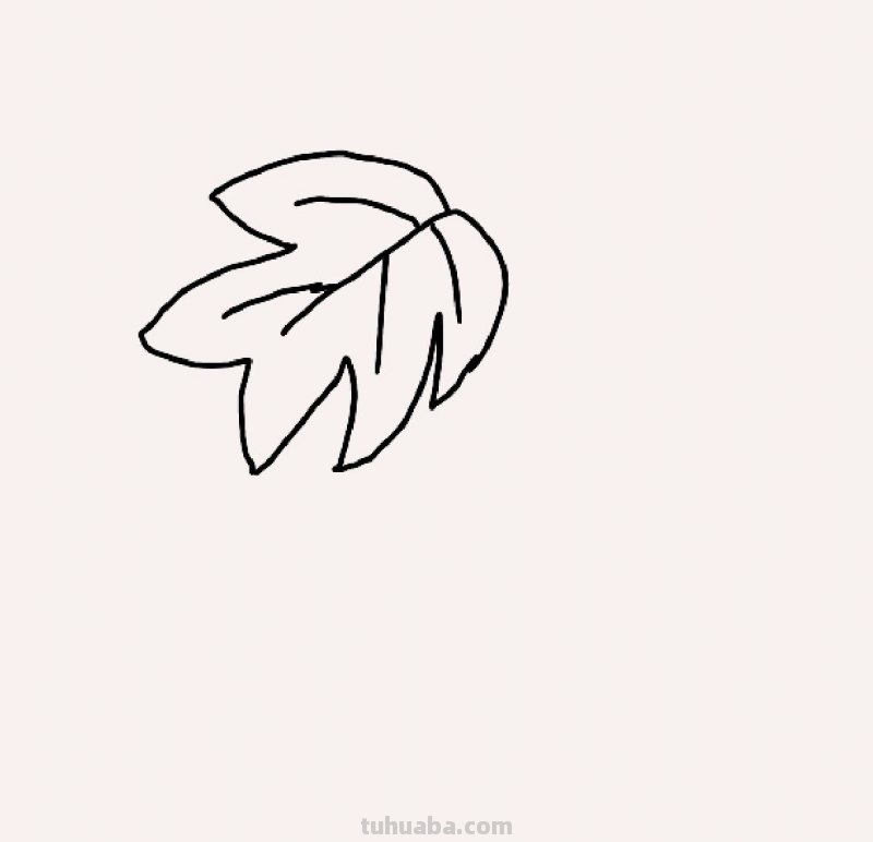 葡萄树怎么画简笔画(葡萄树怎么画简笔画图片) 葡萄树怎么画简笔画(葡萄树怎么画简笔画图片)