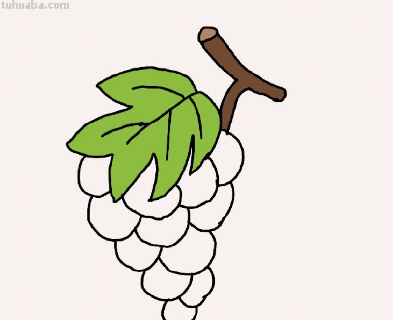 葡萄树怎么画简笔画(葡萄树怎么画简笔画图片) 葡萄树怎么画简笔画(葡萄树怎么画简笔画图片)