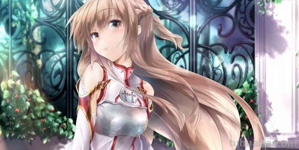 为什么《刀剑神域》的女主角亚丝娜人气这么高?