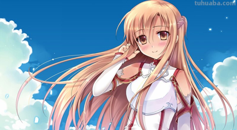 应该怎么评价《刀剑神域》中的亚丝娜?