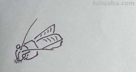 知了怎么画简笔画(知了怎么画简笔画好看) 知了怎么画简笔画(知了怎么画简笔画好看)