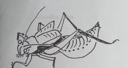 知了怎么画简笔画(知了怎么画简笔画好看) 知了怎么画简笔画(知了怎么画简笔画好看)