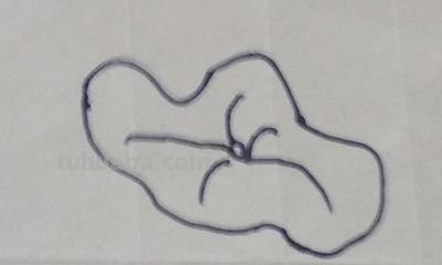 荷花荷叶怎么画简笔画(荷花荷叶怎么画简笔画 简单) 荷花荷叶怎么画简笔画(荷花荷叶怎么画简笔画 简单)