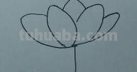 荷花荷叶怎么画简笔画(荷花荷叶怎么画简笔画 简单) 荷花荷叶怎么画简笔画(荷花荷叶怎么画简笔画 简单)