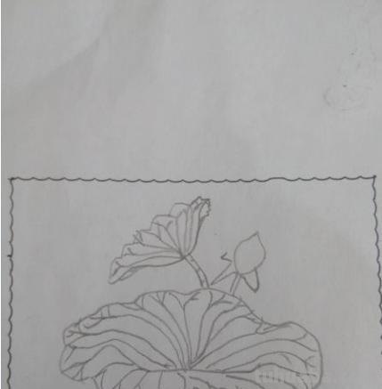 荷花荷叶怎么画简笔画(荷花荷叶怎么画简笔画 简单) 荷花荷叶怎么画简笔画(荷花荷叶怎么画简笔画 简单)