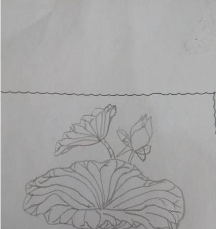 荷花荷叶怎么画简笔画(荷花荷叶怎么画简笔画 简单) 荷花荷叶怎么画简笔画(荷花荷叶怎么画简笔画 简单)