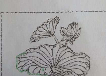 荷花荷叶怎么画简笔画(荷花荷叶怎么画简笔画 简单) 荷花荷叶怎么画简笔画(荷花荷叶怎么画简笔画 简单)