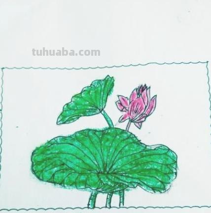 荷花荷叶怎么画简笔画(荷花荷叶怎么画简笔画 简单) 荷花荷叶怎么画简笔画(荷花荷叶怎么画简笔画 简单)