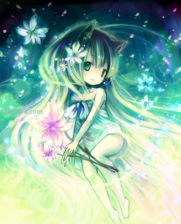 求一些 二次元 小loli的小脚丫的图片!