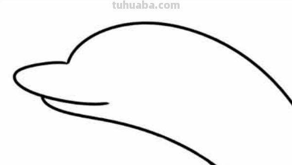 海洋动物怎么画简笔画(海洋动物怎么画简笔画图片) 海洋动物怎么画简笔画(海洋动物怎么画简笔画图片)