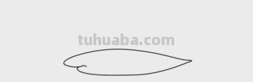 海洋动物怎么画简笔画(海洋动物怎么画简笔画图片) 海洋动物怎么画简笔画(海洋动物怎么画简笔画图片)