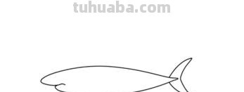海洋动物怎么画简笔画(海洋动物怎么画简笔画图片) 海洋动物怎么画简笔画(海洋动物怎么画简笔画图片)