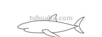 海洋动物怎么画简笔画(海洋动物怎么画简笔画图片) 海洋动物怎么画简笔画(海洋动物怎么画简笔画图片)