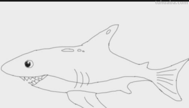 海洋动物怎么画简笔画(海洋动物怎么画简笔画图片) 海洋动物怎么画简笔画(海洋动物怎么画简笔画图片)