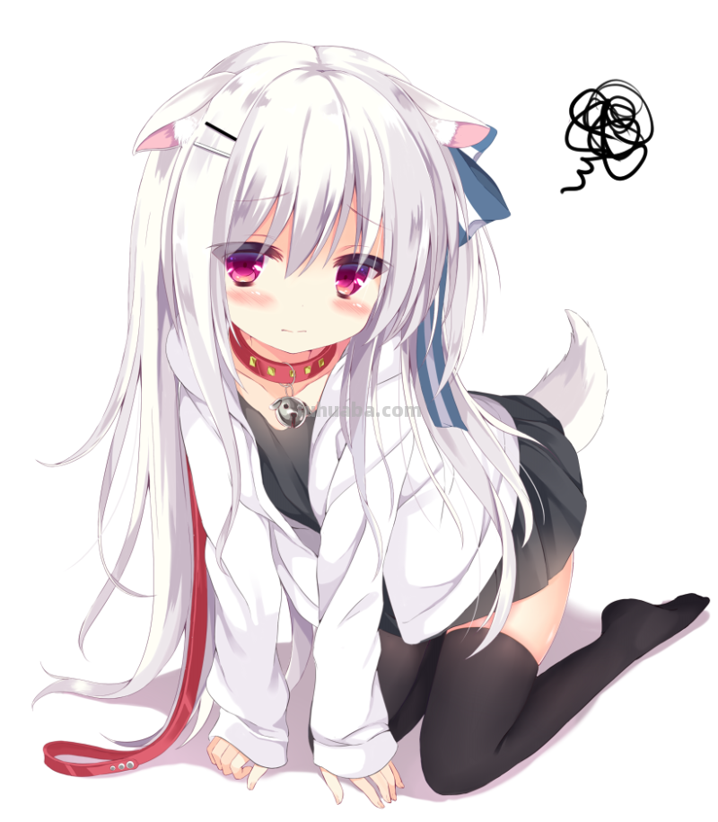 这只兽耳娘出自哪里?