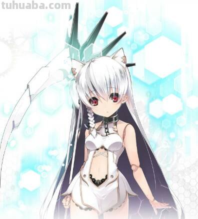 求兽耳娘的图片,种类越多越好