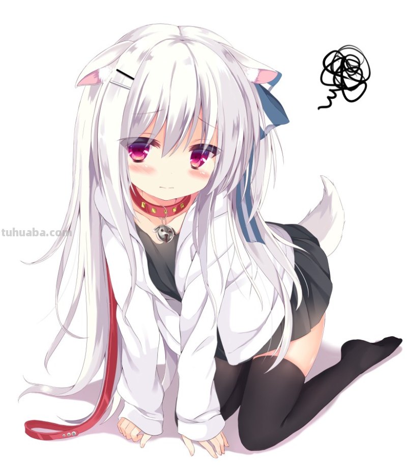 这只兽耳娘出自哪里?