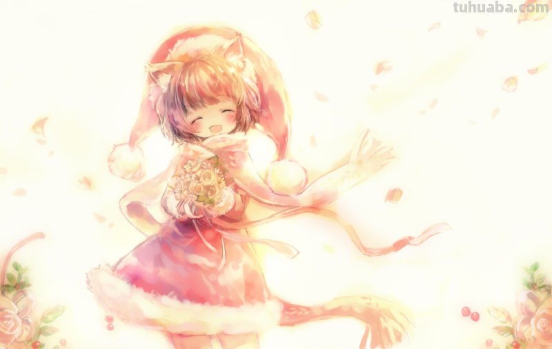 求兽耳狐狸娘的动漫图片