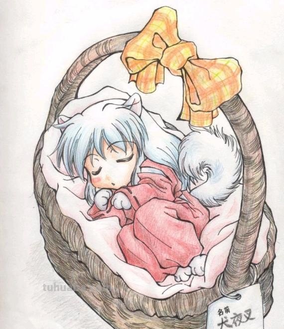 求兽耳狐狸娘的动漫图片