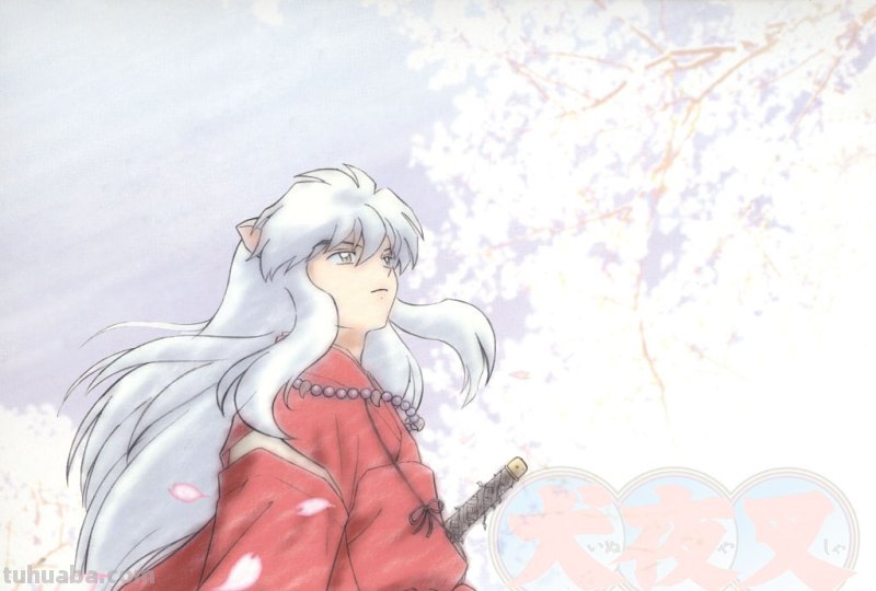 求兽耳狐狸娘的动漫图片