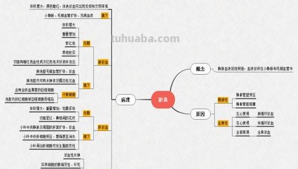 思维导图属于什么软件（思维导图属于什么软件类型）