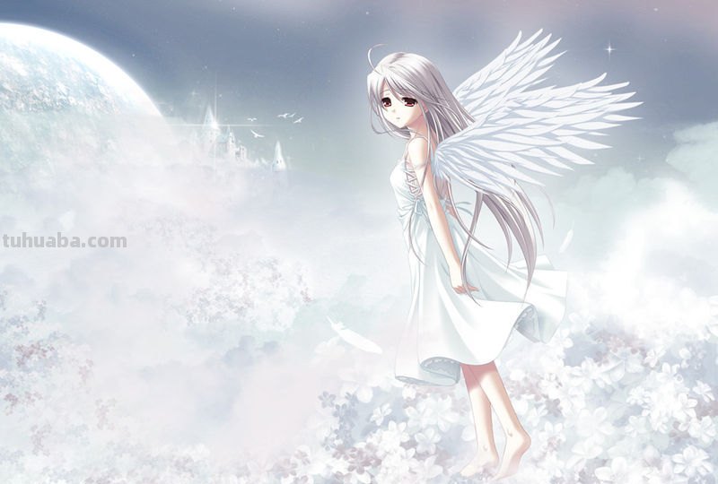 在樱花下的白色头发,穿白色和服的动漫少女的图片?(有白色眼睛的就更好...