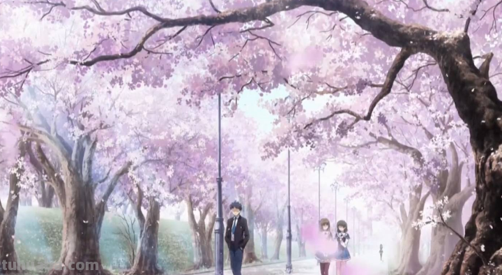 日本动漫樱花图片