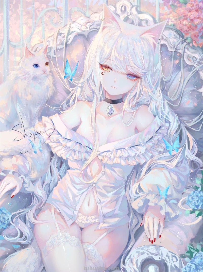 眼睛一黄一蓝的猫耳娘卡通少女是谁啊,有没有类似的图片?