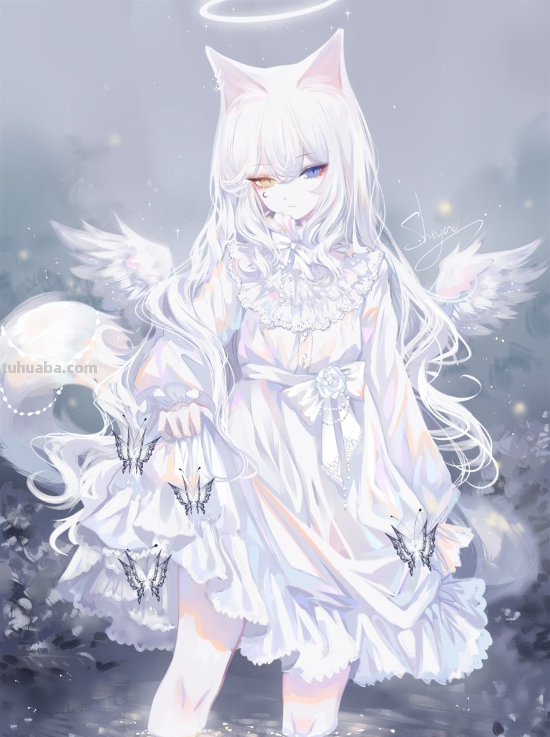 眼睛一黄一蓝的猫耳娘卡通少女是谁啊,有没有类似的图片?