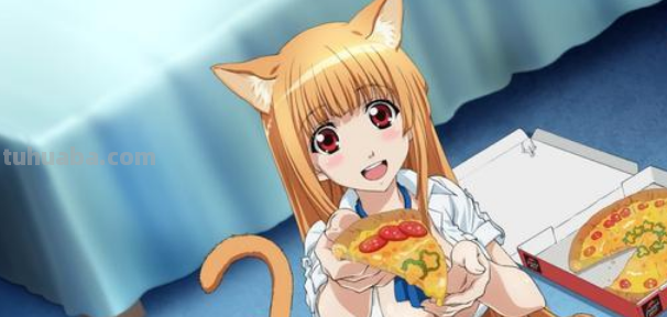 动漫中有哪几位猫耳娘角色?