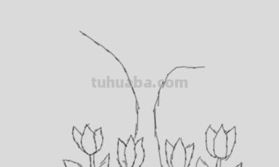 大树怎么画简笔画图片(大树怎么画简笔画图片 一步一步) 大树怎么画简笔画图片(大树怎么画简笔画图片 一步一步)