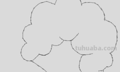 大树怎么画简笔画图片(大树怎么画简笔画图片 一步一步) 大树怎么画简笔画图片(大树怎么画简笔画图片 一步一步)