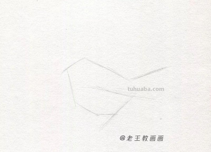 零基础也能画好素描，教你画一只鸟儿