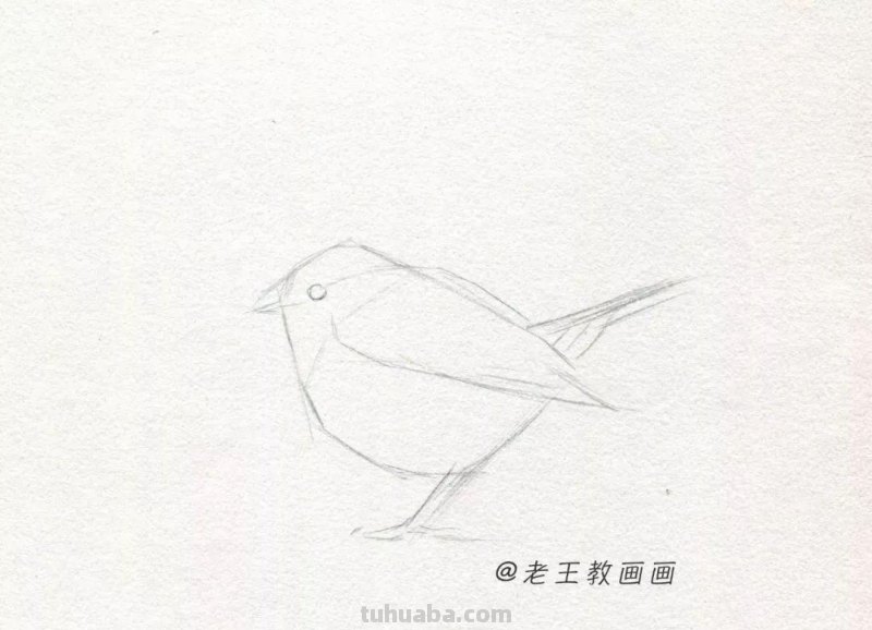 零基础也能画好素描，教你画一只鸟儿